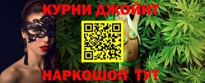 гашик Аргун