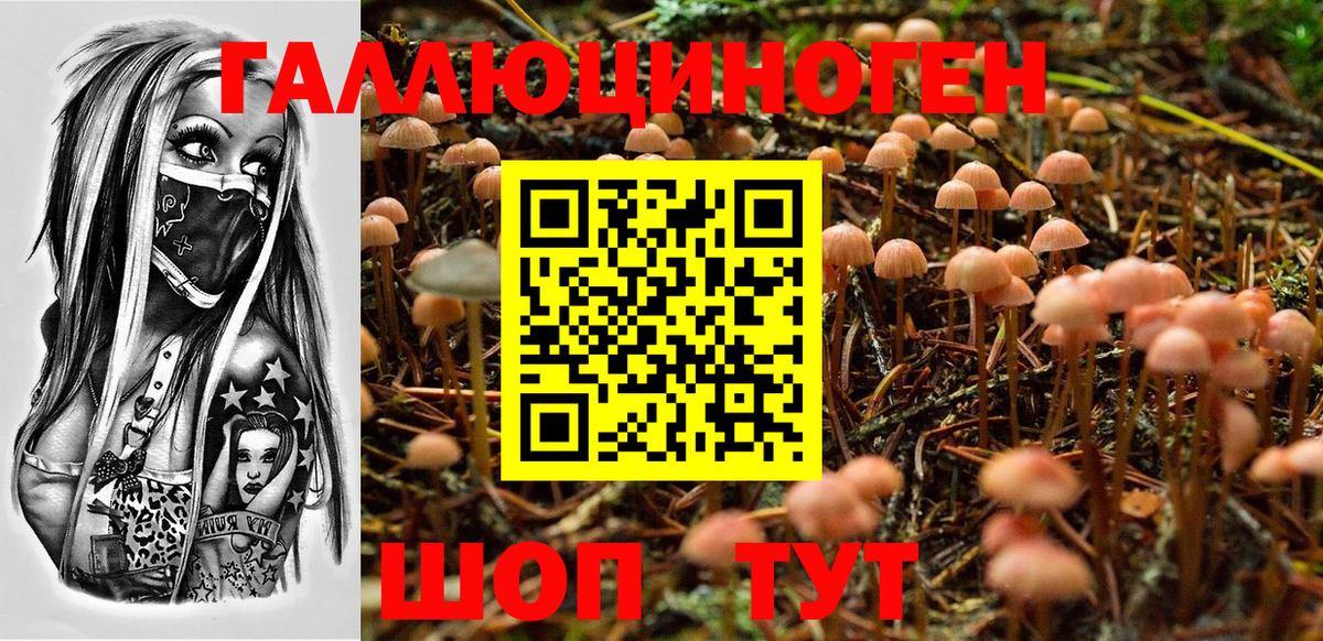 Галлюциногенные грибы Cubensis  Галлюциногенные грибы ЛСД  Нижневартовск  Вход с VPN 