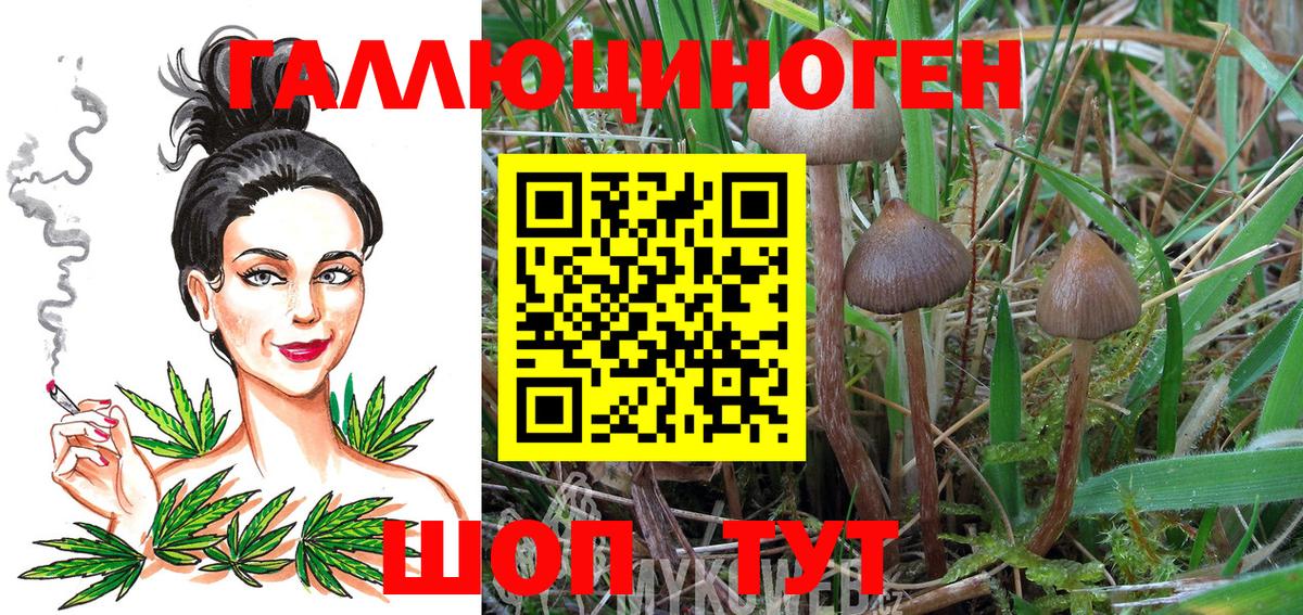 Галлюциногенные грибы прущие грибы Нижневартовск