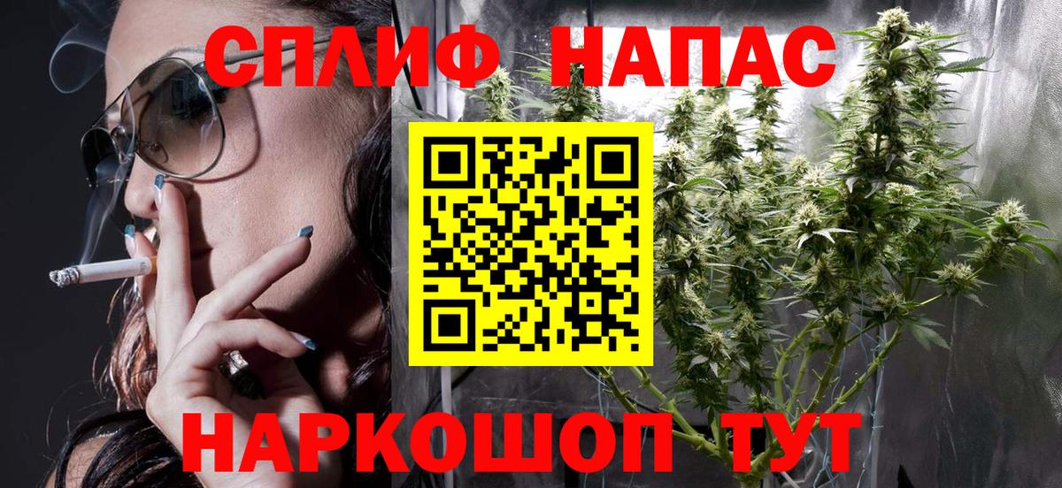 Бошки Шишки планчик Нижневартовск